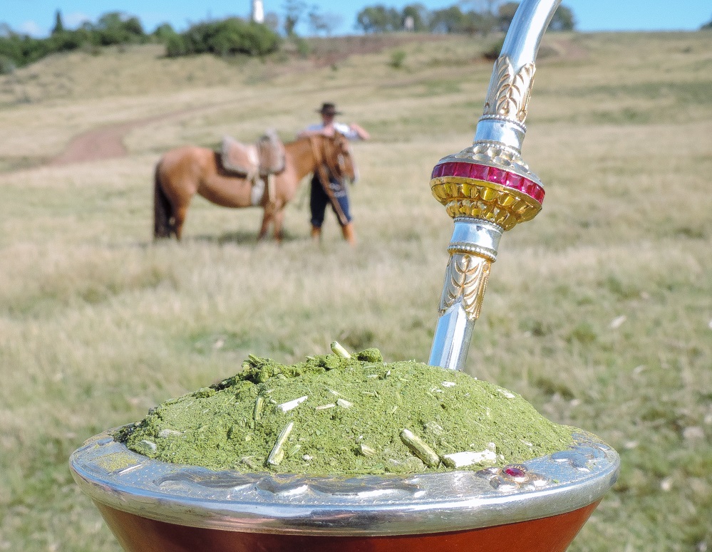 Matear faz bem confira os benefícios